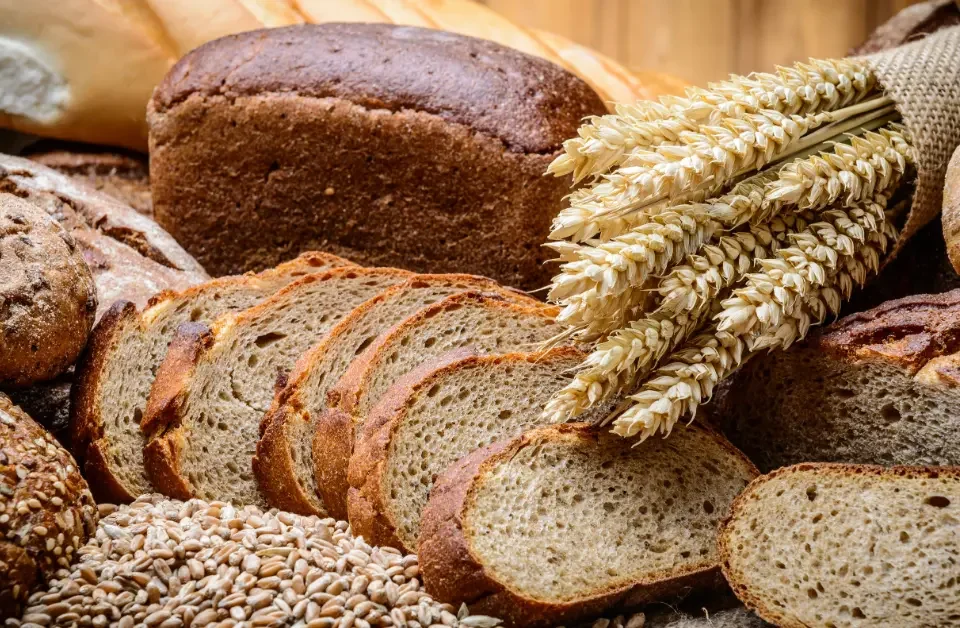 cibi da mangiare a stomaco vuoto