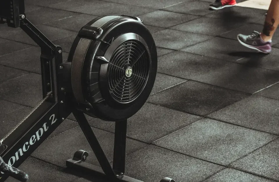 vogatore allenamento completo